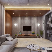 Concrete Hues Livingroom Design